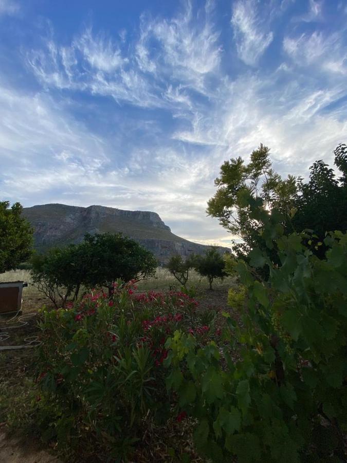 Appartement La Casa Del Gelso à Tonnara di Bonagia Extérieur photo